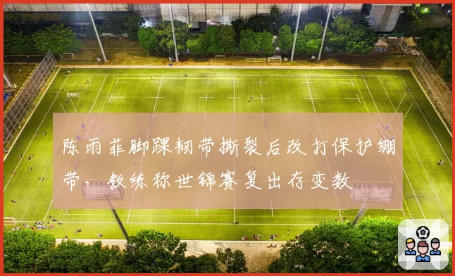 陈雨菲脚踝韧带撕裂后改打保护绷带，教练称世锦赛复出存变数