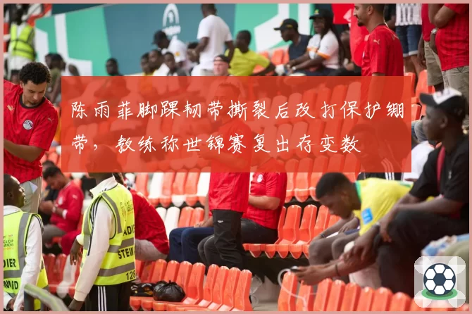 陈雨菲脚踝韧带撕裂后改打保护绷带，教练称世锦赛复出存变数
